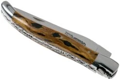 Laguiole En Aubrac 12cm Double Plates, Cactus Poncé Main, L0712CA51-FSI1 -Magasin de couteaux AUL0712CA51 FSI1 04 laguiole en aubrac v202010