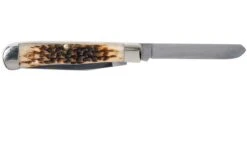 Case Trapper Amber Jigged Bone, 00163, 6254 CV Couteau De Poche 13 Case Trapper Amber Jigged Bone, 00163, 6254 CV Couteau De Poche -Magasin de couteaux CE163 03 case ce163 03