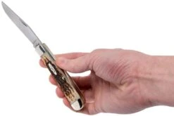 Case Trapper Amber Jigged Bone, 00163, 6254 CV Couteau De Poche 19 Case Trapper Amber Jigged Bone, 00163, 6254 CV Couteau De Poche -Magasin de couteaux CE163 09 case ce163 09