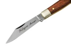Fox Knives Filiscjna, CL-627/1 Couteau Miniature -Magasin de couteaux FOCL 627 1 03 foxknives