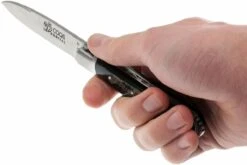 Fontenille Pataud 5 Coqs, Corne De Buffle Brute, 5CBB 16 Fontenille Pataud 5 Coqs, Corne De Buffle Brute, 5CBB -Magasin de couteaux FP5CBB 07 fontenille pataud 5 coqs fp5cbb 07