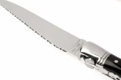 Fontenille Pataud « Nature » Pointe De Corne Noire L6PCNTG -Magasin de couteaux FPL6PCNTG 05 fontenille pataud fpl6pcntg d5