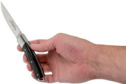 Le Thiers Pocket Buffle Brut T8BB Couteau De Poche Par Fontenille Pataud 18 Le Thiers Pocket Buffle Brut T8BB Couteau De Poche Par Fontenille Pataud -Magasin de couteaux FPT8BB 08 fontenille pataud