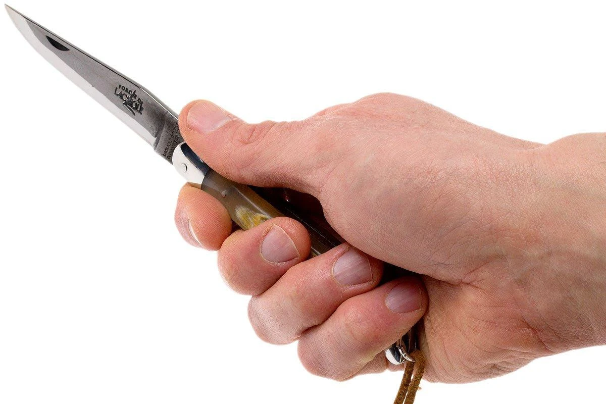 Forge De Laguiole 12110INCABDF, Corne D'Aubrac 9 Forge De Laguiole 12110INCABDF, Corne D'Aubrac – Image 7