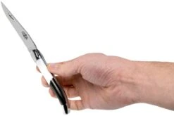 Forge De Laguiole Airbus A350 1211 INAIRBUS Couteau Laguiole -Magasin de couteaux LA1211INAIRBUS 07 forge de laguiole