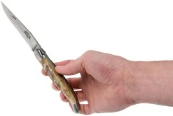 Forge De Laguiole 12 Cm 1212INBESAT Corne De Bélier, Couteau Laguiole -Magasin de couteaux LA1212INBESAT 08 forge de laguiole