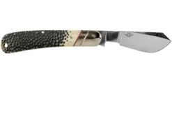 Rough Ryder Buckshot Bone Cotton Sampler RR1728 Couteau De Poche -Magasin de couteaux RY1728 02 rough ryder